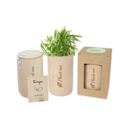 Zielony Krąg — zestaw w drewnie / Grow kit okrągły